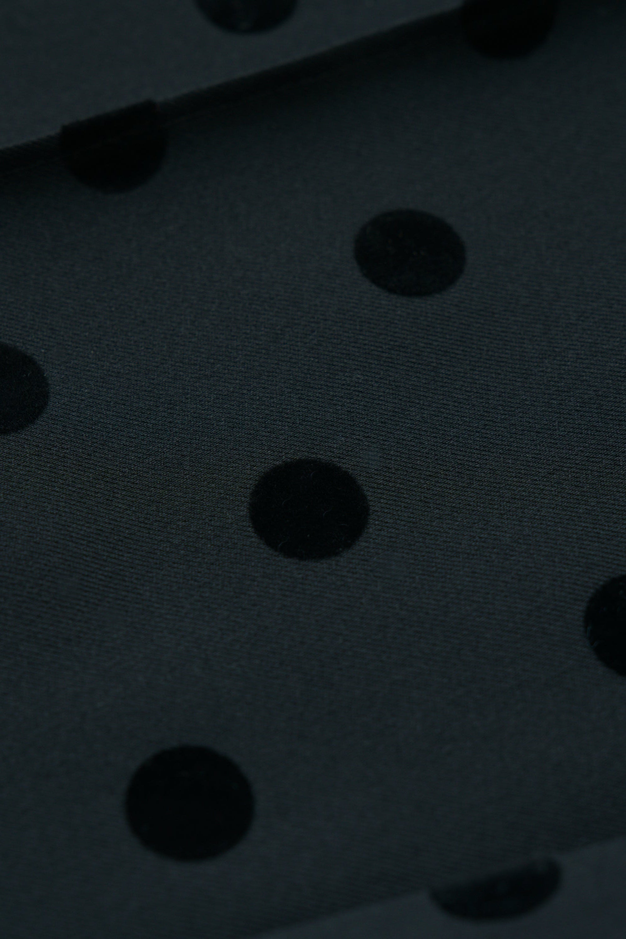 Flocked Dot Short Pants