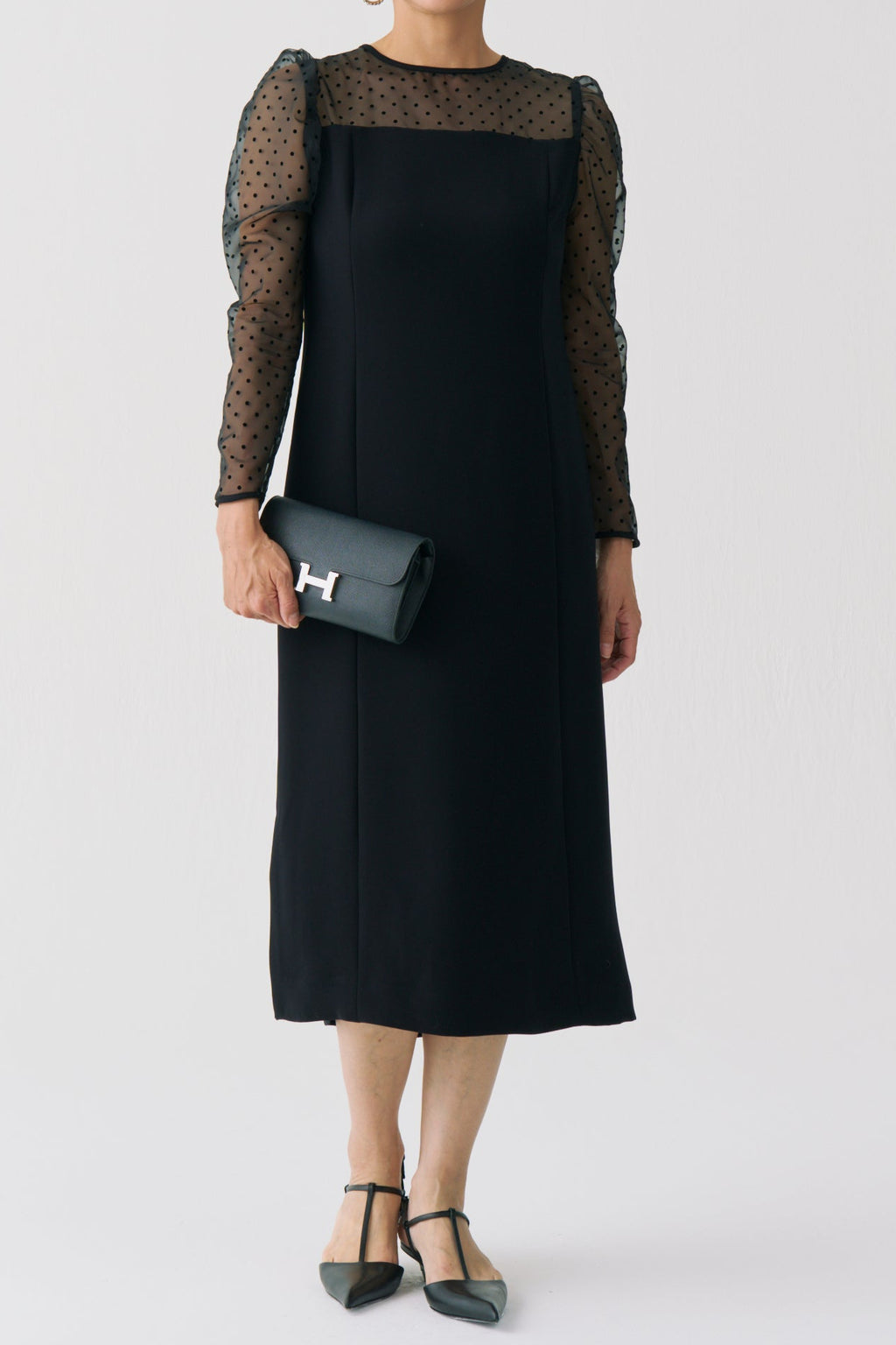 Sheer Dot Panel Long Dress