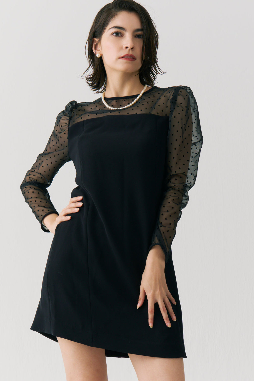 Sheer Dot Panel Mini Dress
