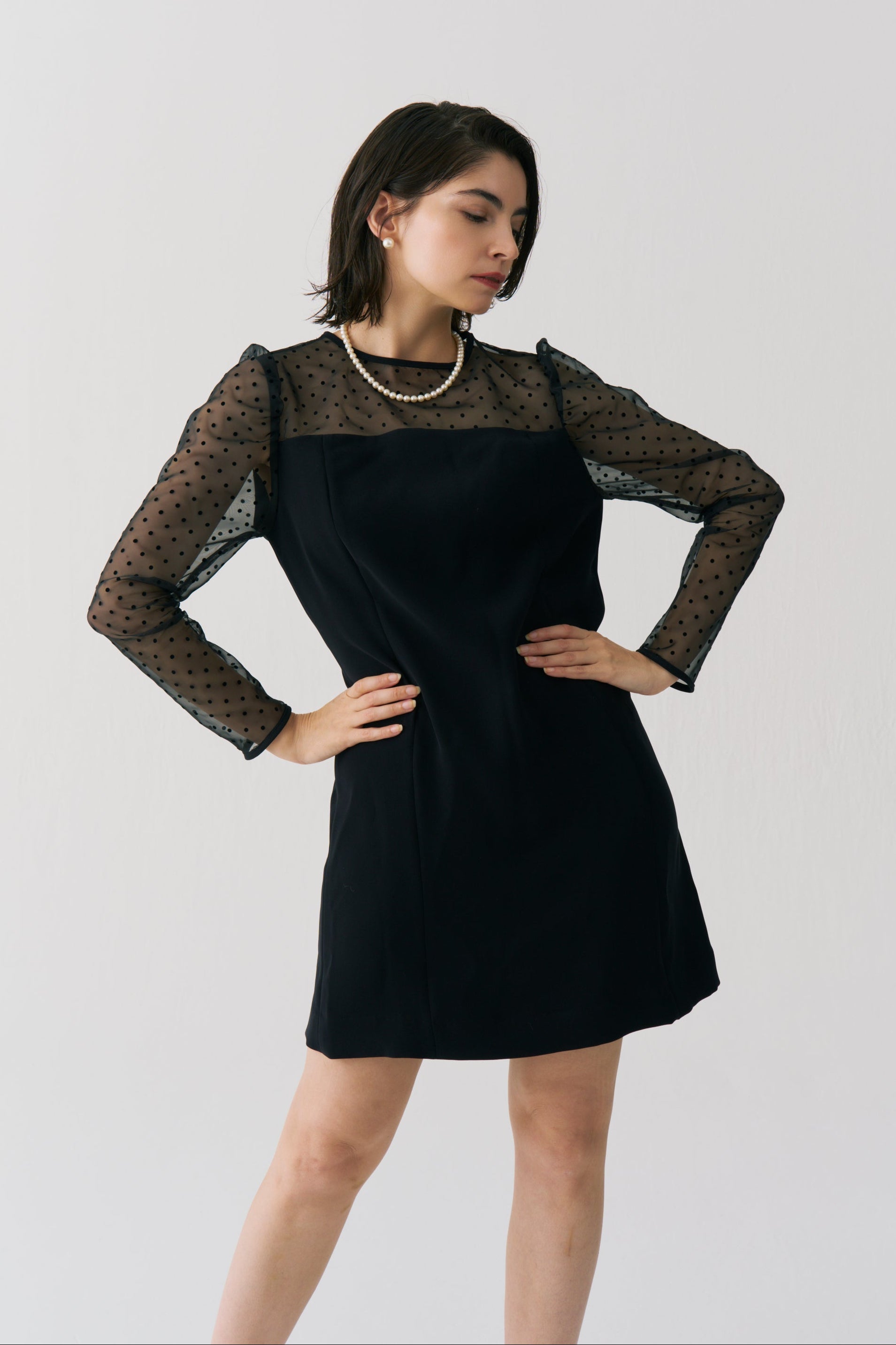 Sheer Dot Panel Mini Dress