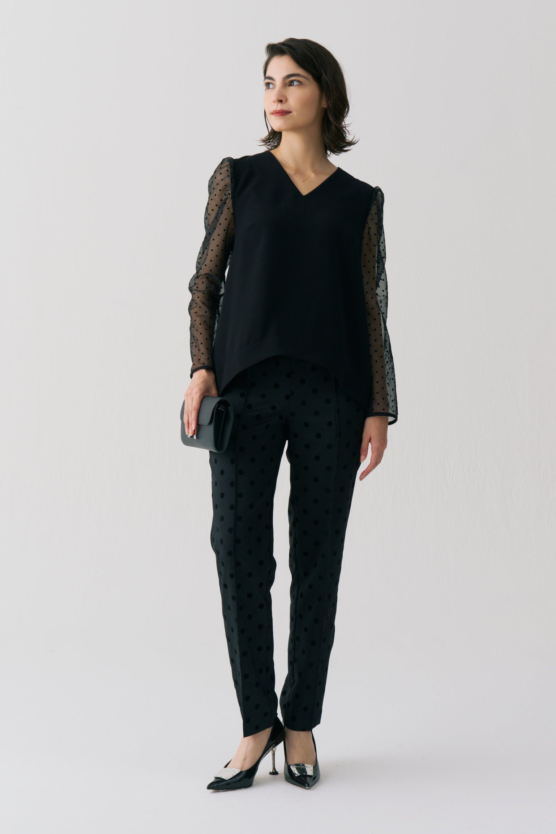 Sheer Dot Long Sleeve Blouse