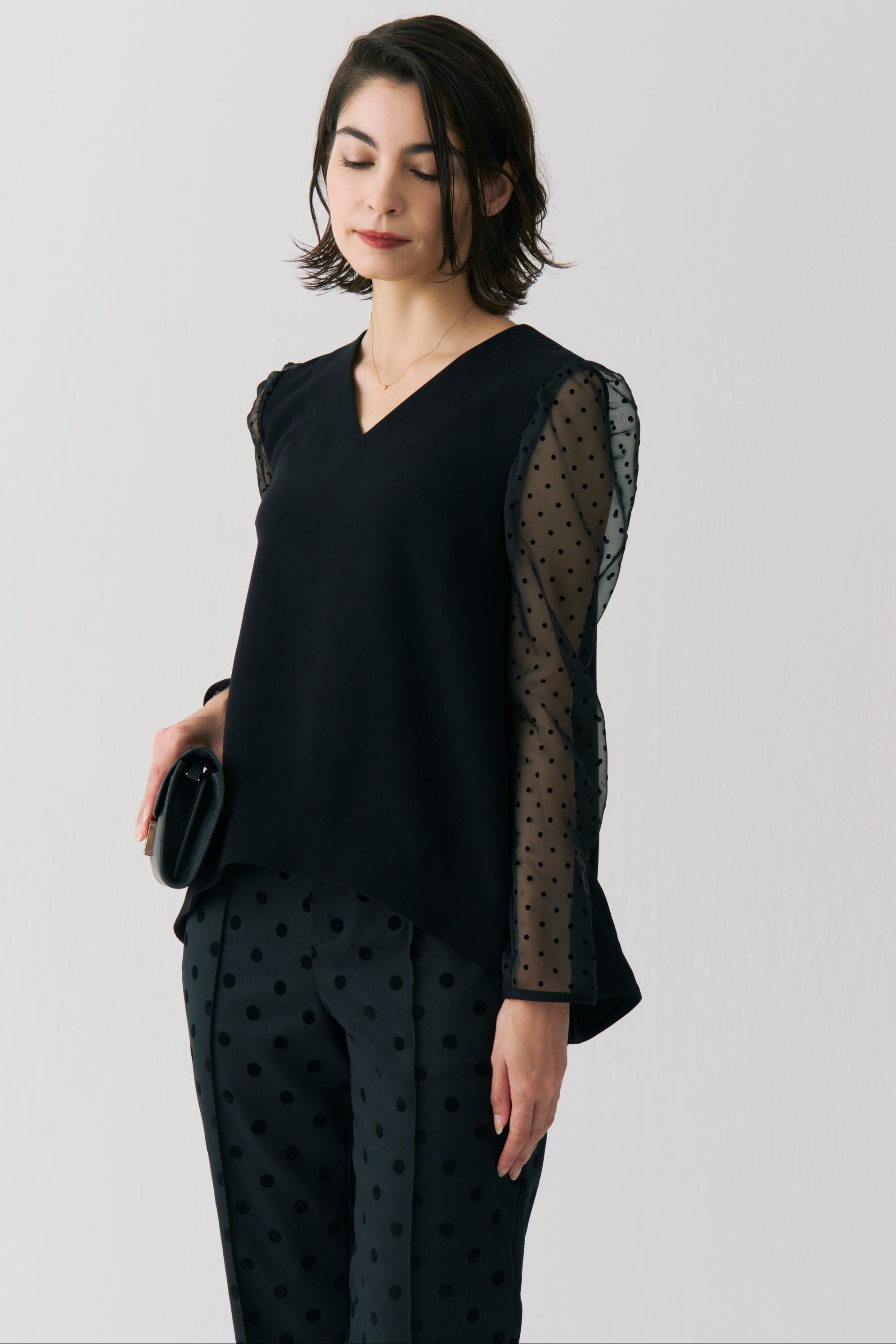 Sheer Dot Long Sleeve Blouse