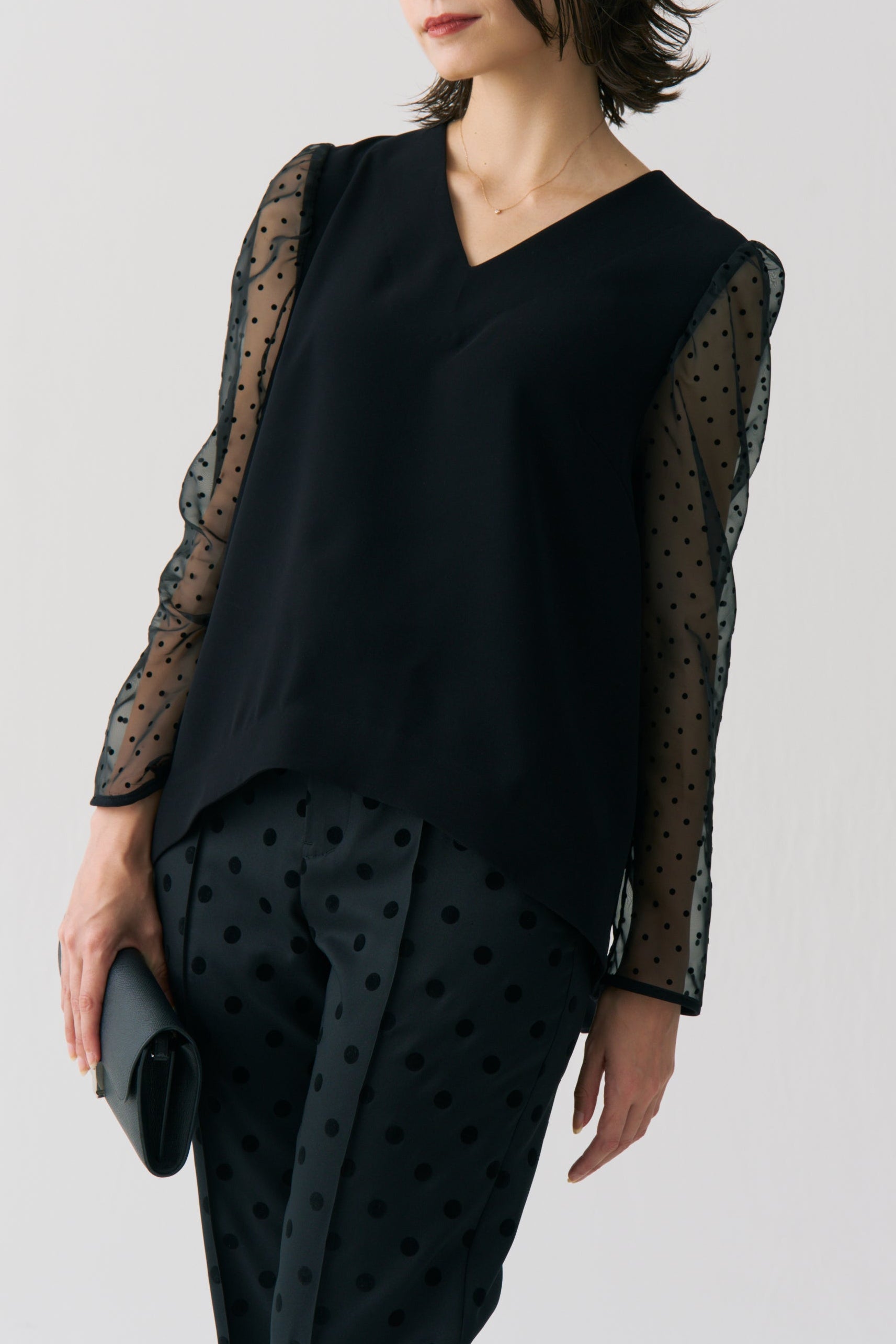 Sheer Dot Long Sleeve Blouse