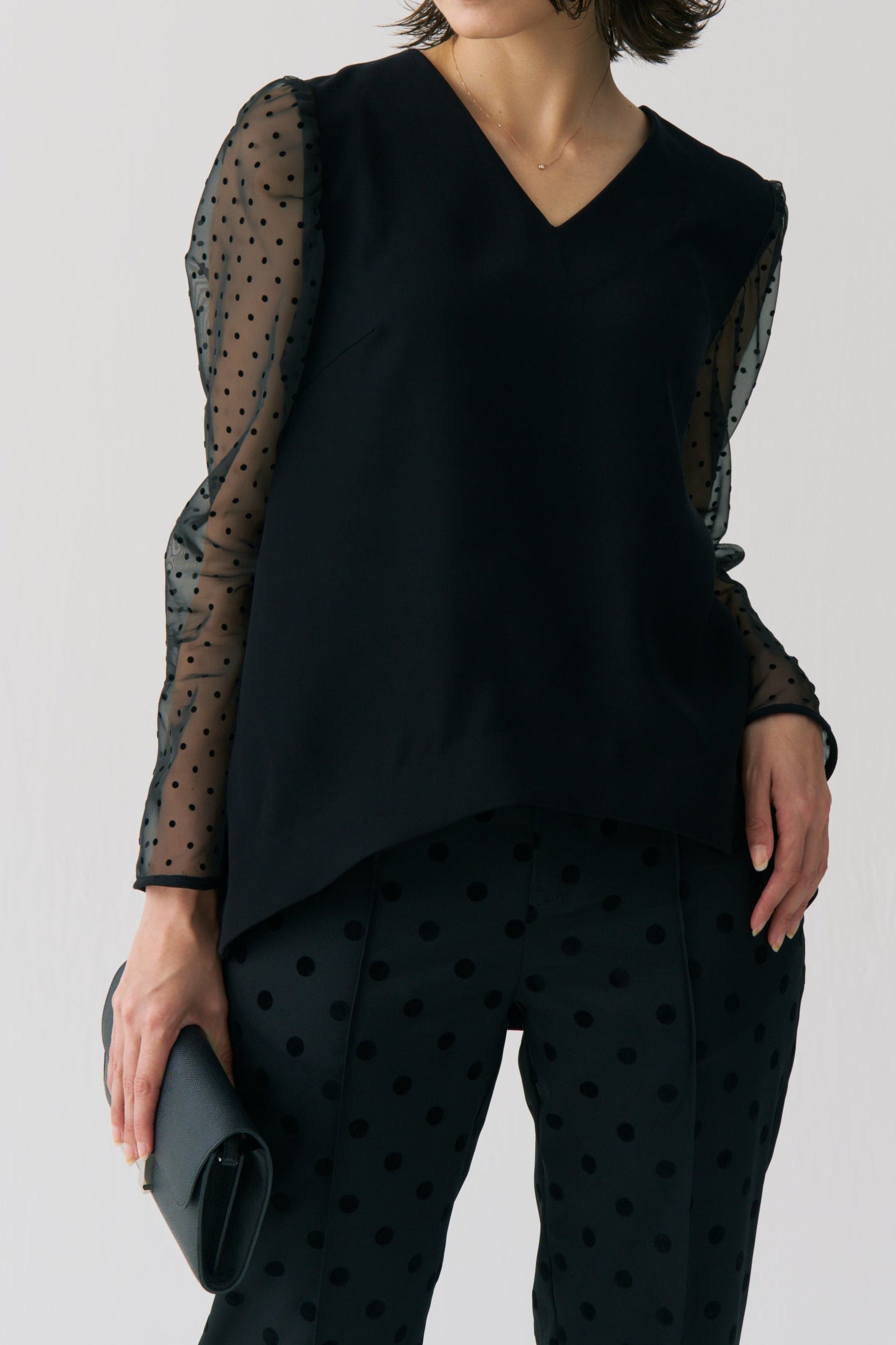 Sheer Dot Long Sleeve Blouse