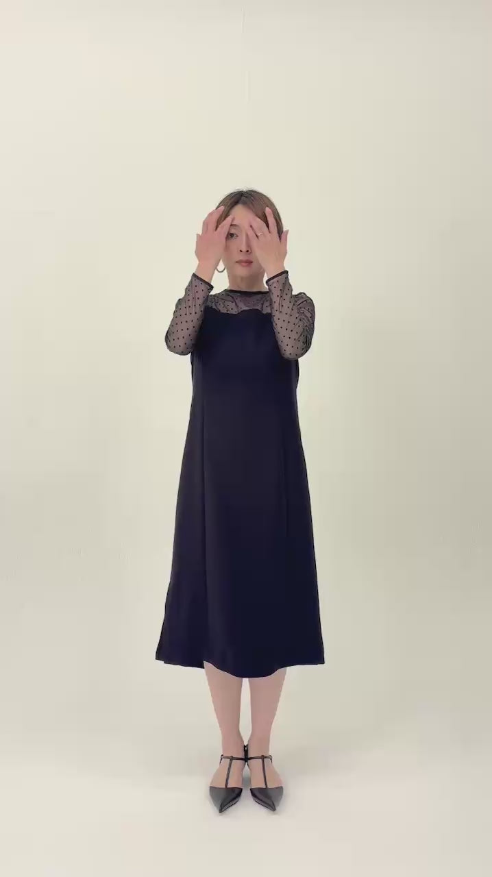 Sheer Dot Panel Long Dress