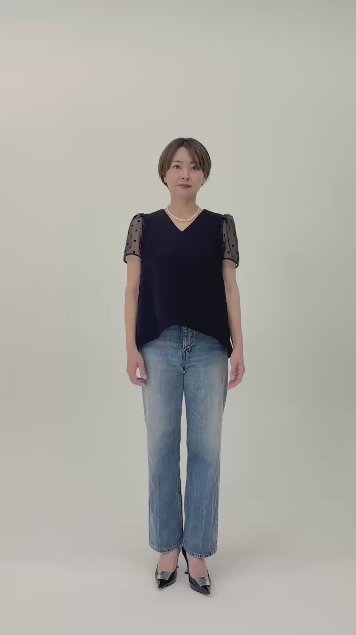 Sheer Dot Puff Sleeve Blouse